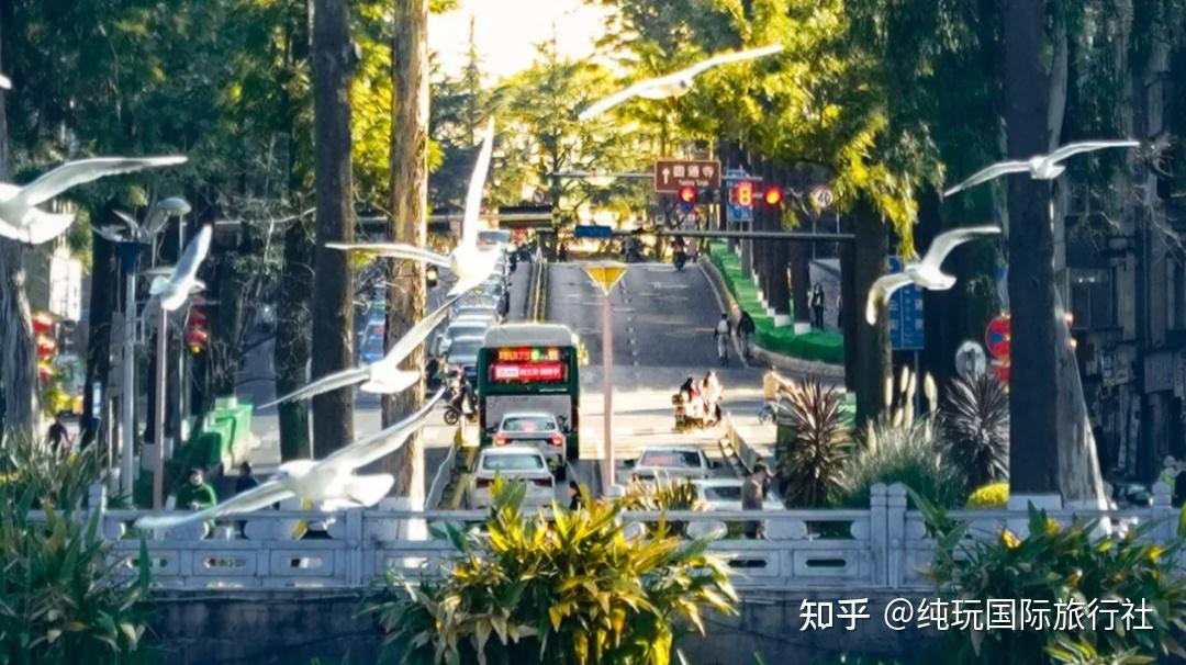 云南6天深度游攻略:雪山、湖泊与古城的浪漫邂逅 - 知乎