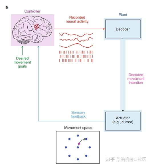 从运动脑机接口到情感脑机接口：马斯克的脑机接口公司 Neuralink 背后的原理