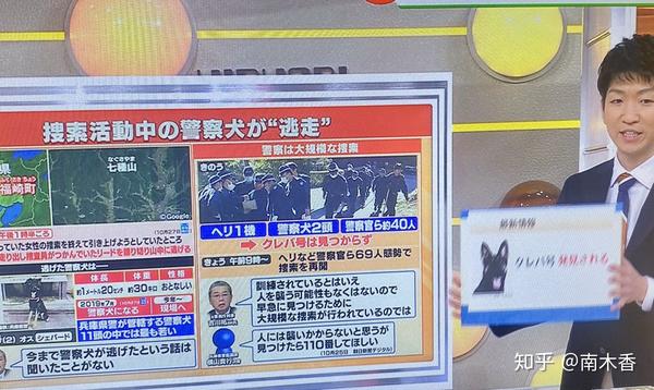 日本一条警犬搜索失踪者时逃跑 自己成了失踪狗 但乡民们坚决维护狗子 知乎 日本一条警犬搜索失踪者时逃跑 自己成了失踪狗 但乡民们坚决维护狗子 知乎