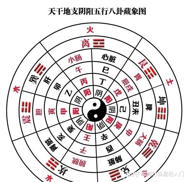 易经基础知识之十——阴阳五行与天干地支 - 知乎