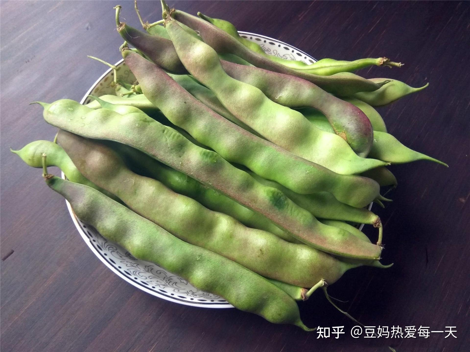 东北豆角,猪耳朵豆角,东北油豆角品种_大山谷图库