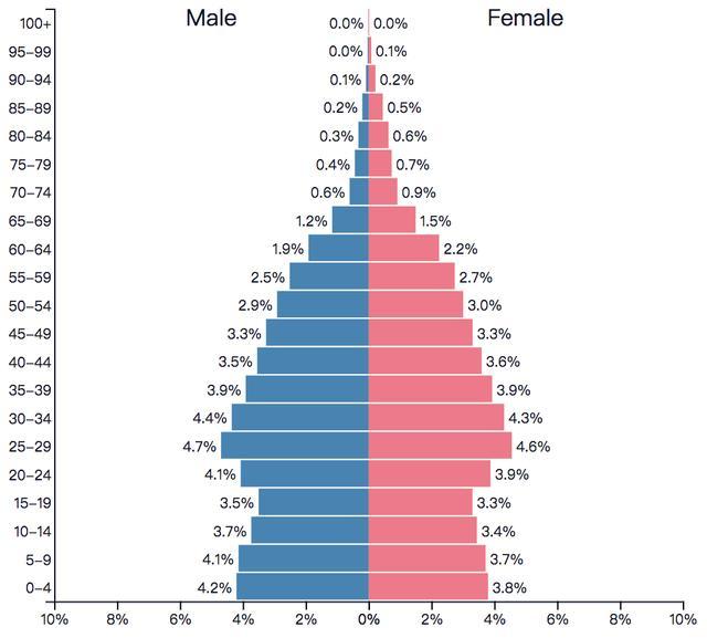 男女人口结构_中国人口结构图片