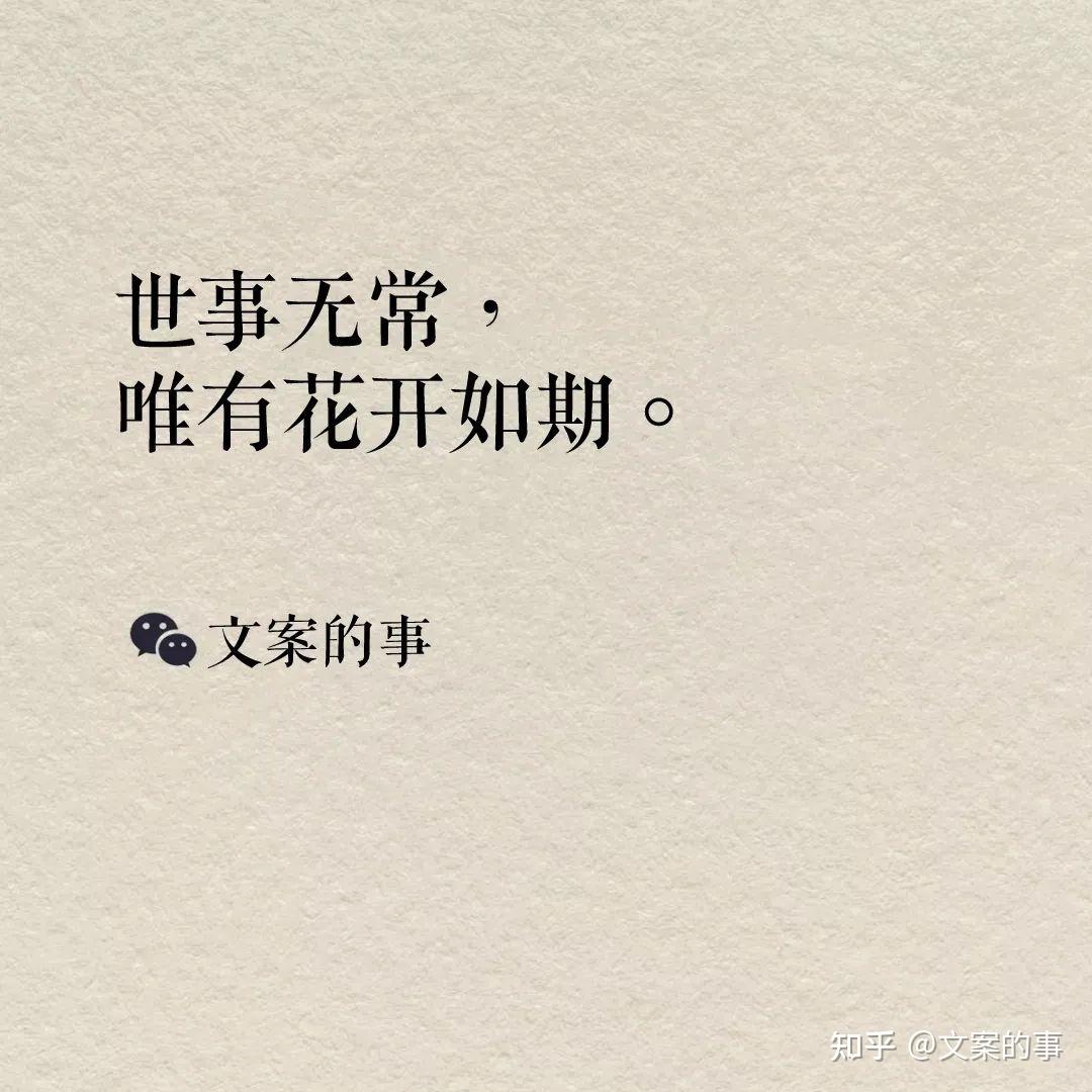 清明節文案很走心