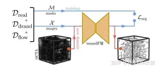 性能远超SAM系模型,苏黎世大学等开发通用3D血管分割基础模型 - 知乎