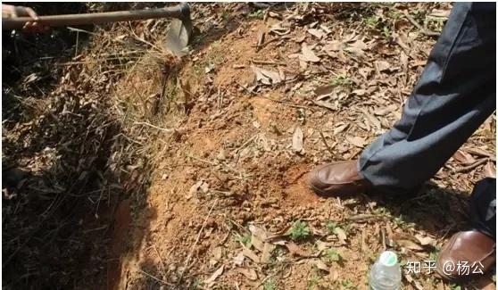 老师指出,此处穴场已遭到严重破坏,但太极晕让其露出真踪