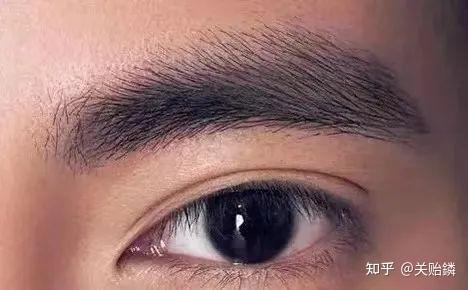 面相看眼睛教学：39种决定人生运势的眼型 （大合集）完整版 - 知乎
