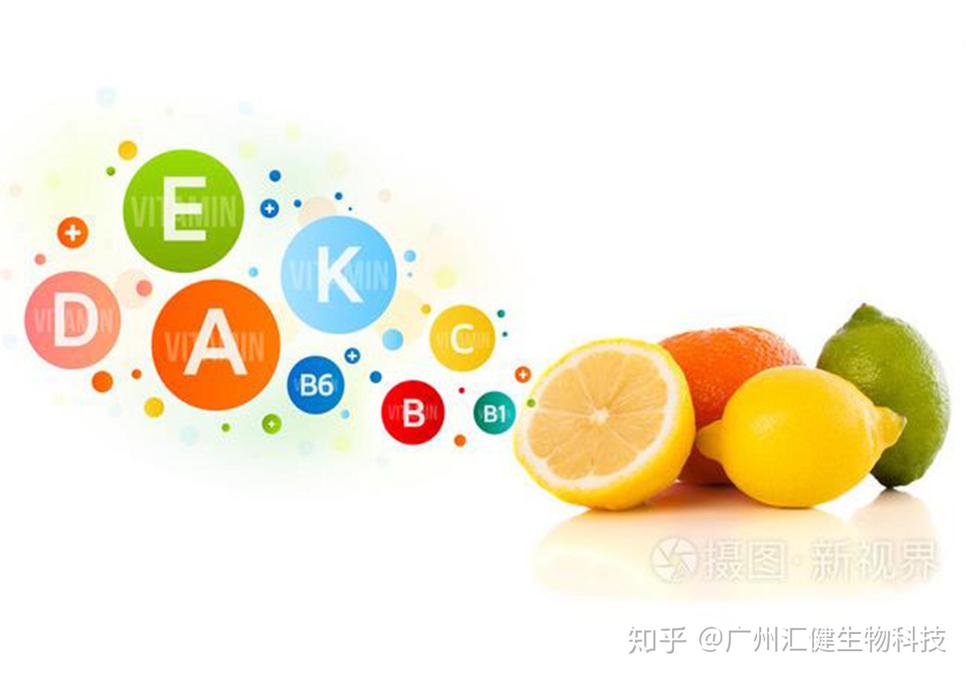 人体所需的七大类营养素