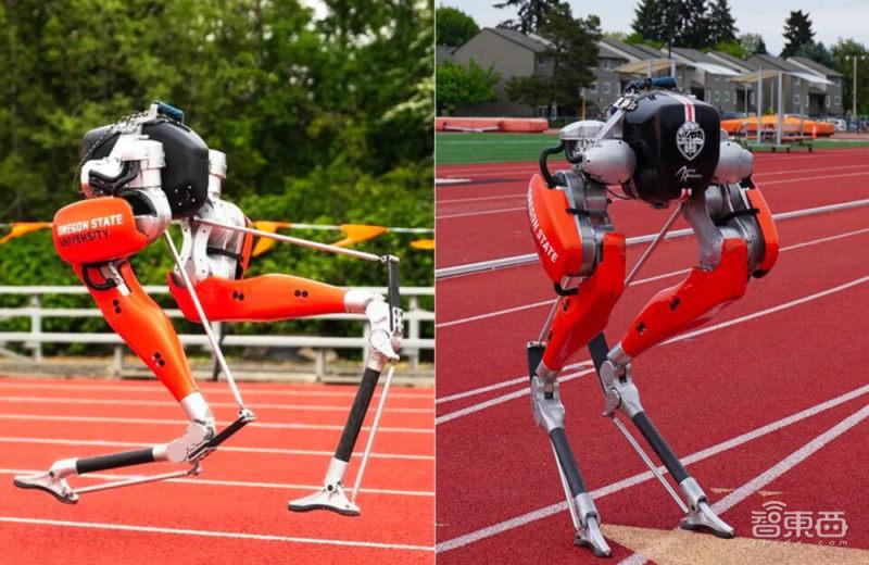 cassie只有两条"腿",中间有支架支撑,一名研究人员指出,与其他机器人