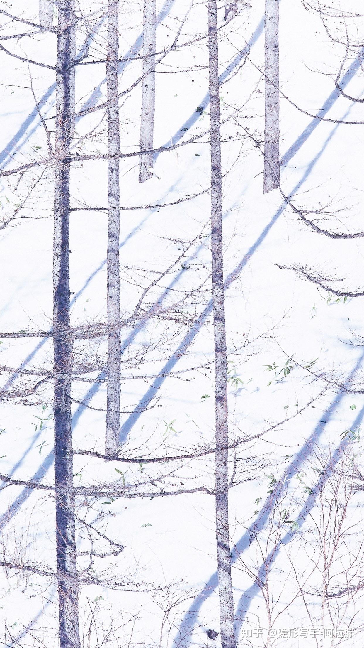 写作中常用的修辞手法都有啥? - 知乎