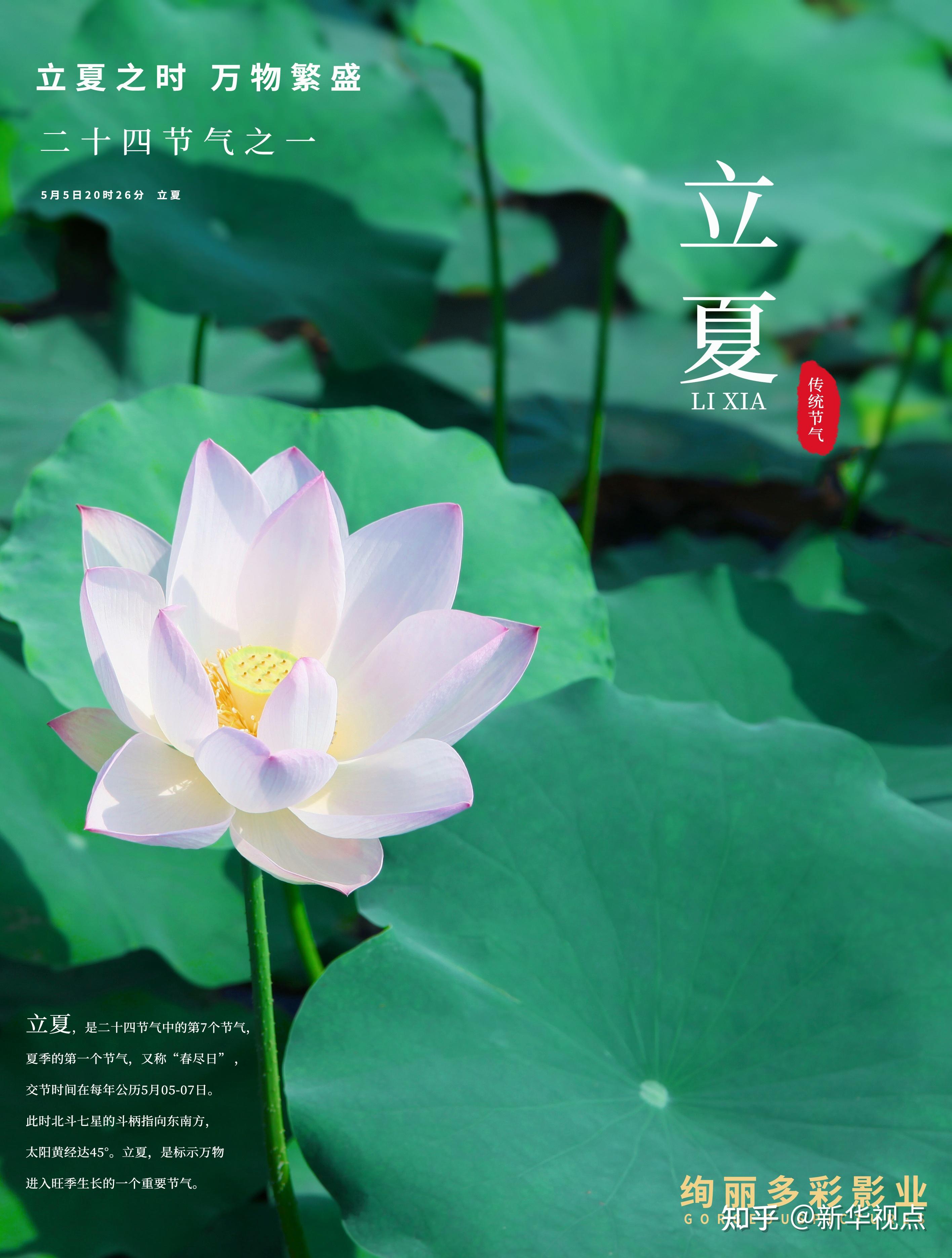 今日立夏立夏之时万物繁盛