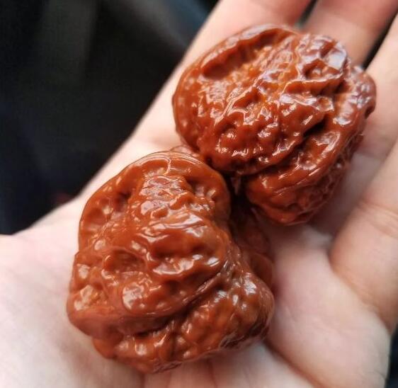 怎么选择适合自己尺寸的文玩核桃 v2-21b306ab1223a6faf679986d958675c7_1440w.jpg?source=172ae18b