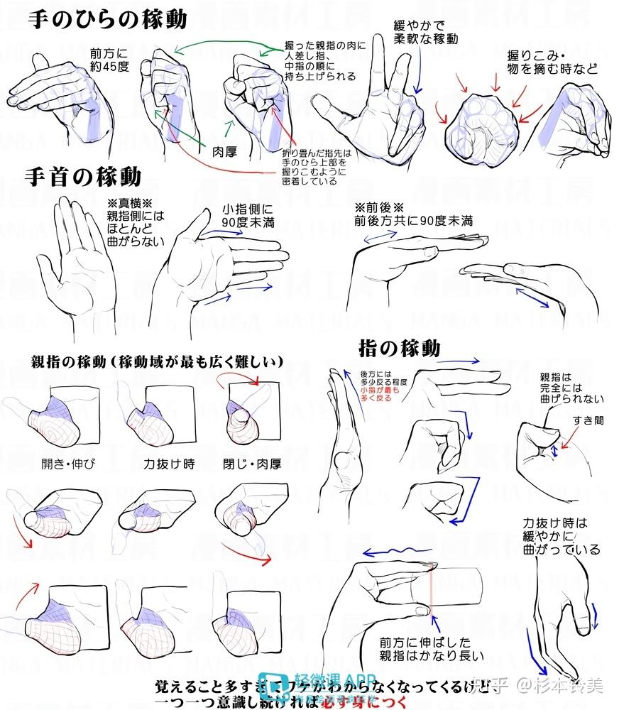 今天的手绘插画教程素材分享完了