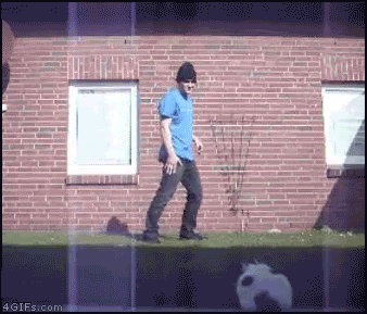 gif - 知乎