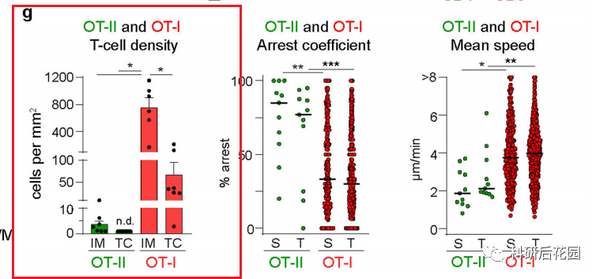 跟着Nature学绘图——柱状图+散点图+误差线+显著性+截断！ - 知乎