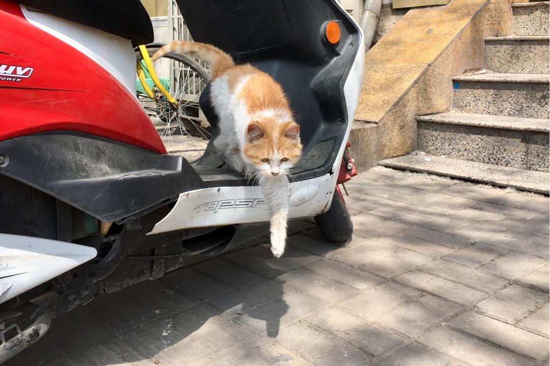 捐精是一种怎样的体验?