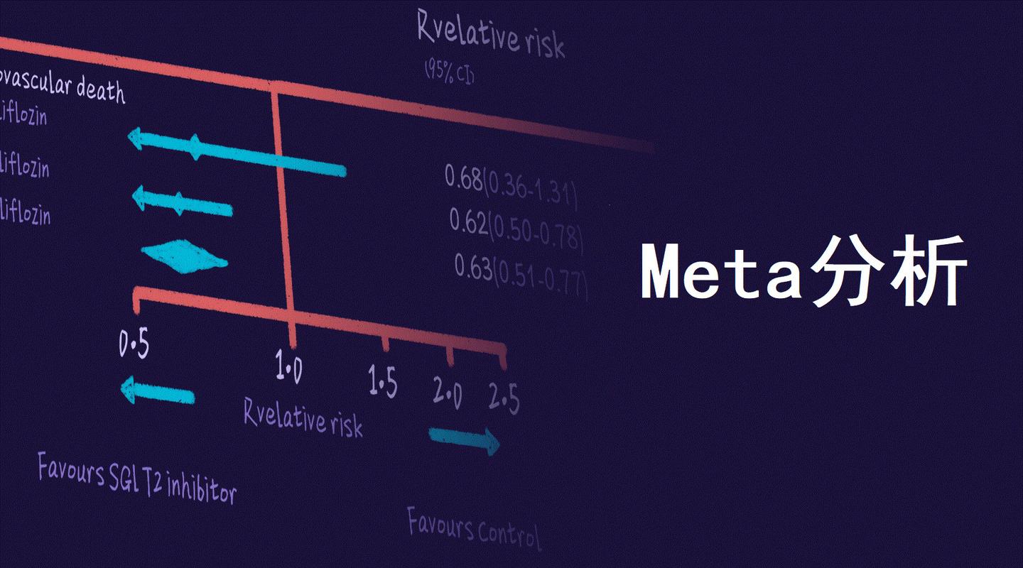 meta 分析的10个问题:从理论概念到操作实践