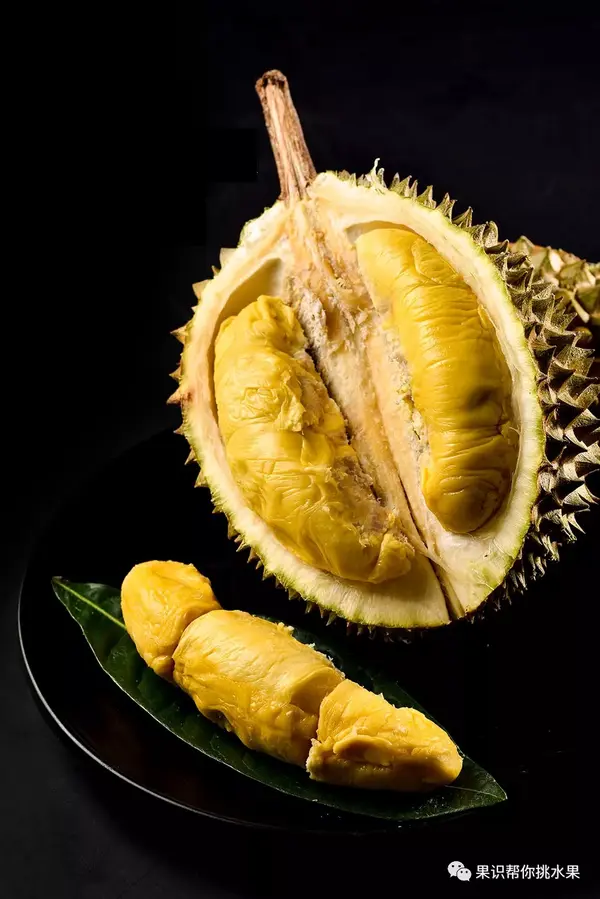 榴莲中的劳斯莱斯,猫山王榴莲为什么这么贵?