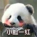 做博主3年,终于挖到一个真正零门槛的全网去水印工具!