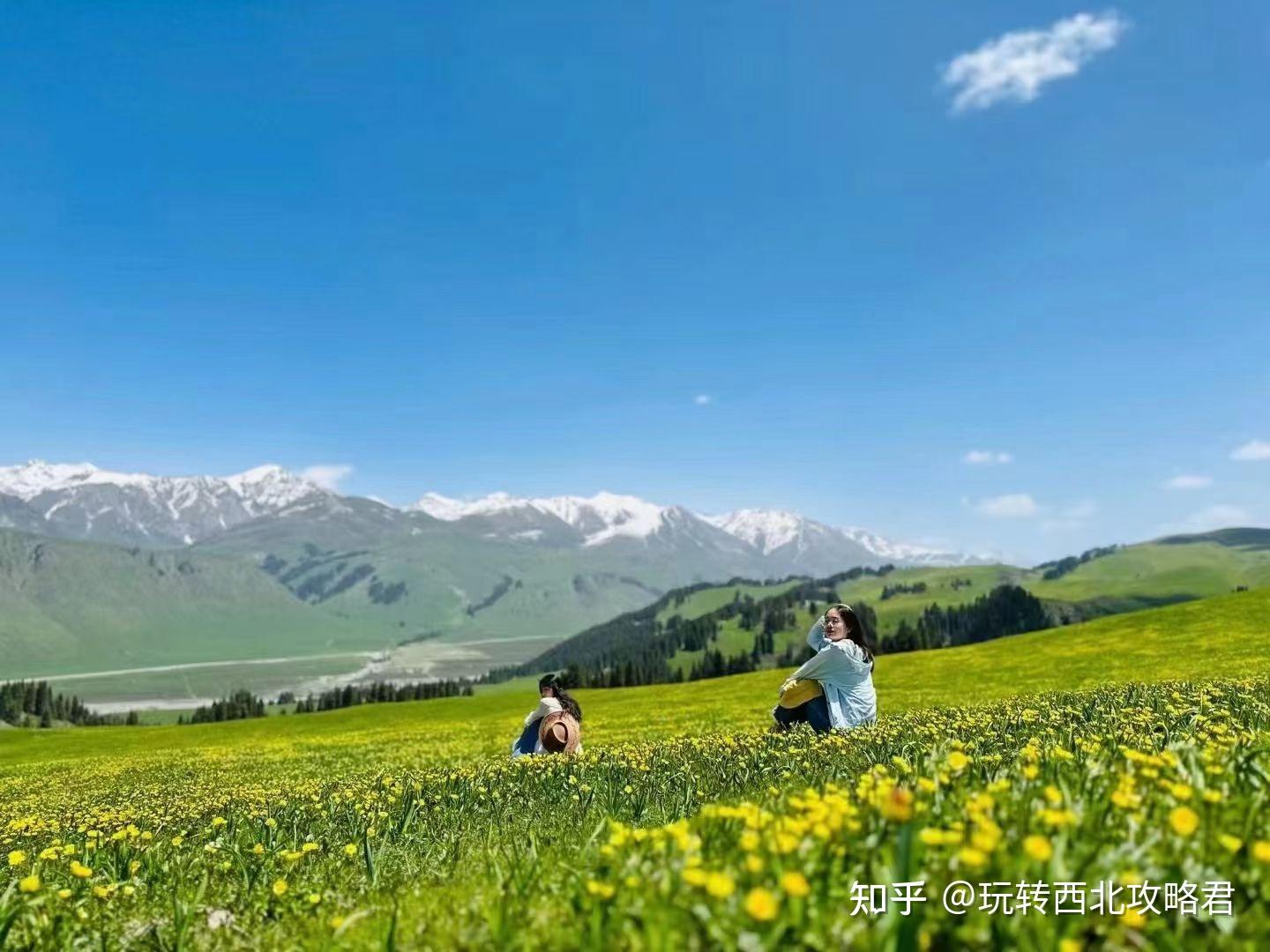 青海旅游最不能错过这里!东方小瑞士:祁连卓尔山 - 知乎