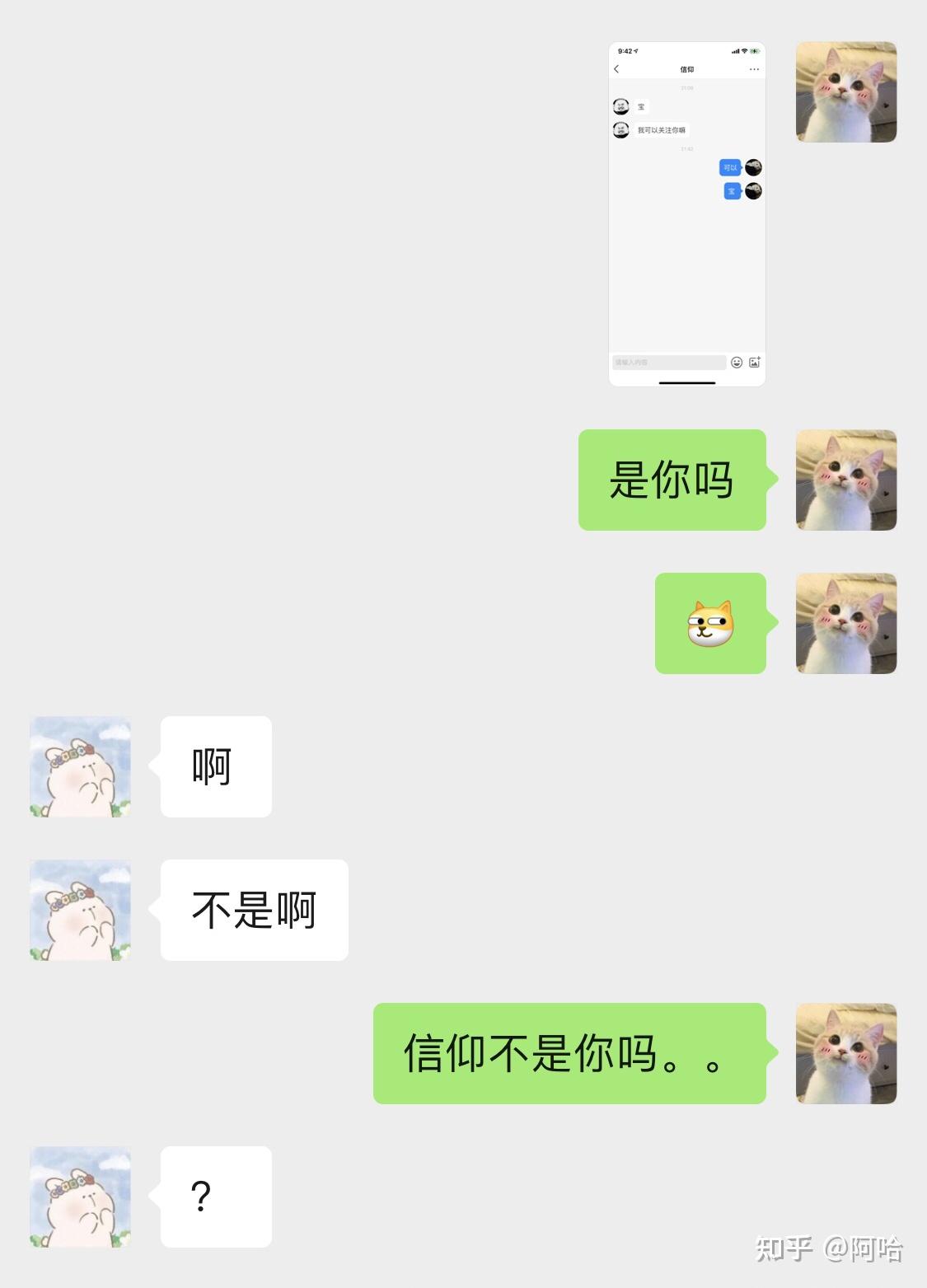 我和我的沙雕朋友