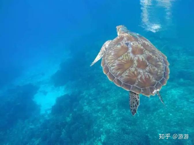 小鱼玩转普吉岛全攻略,这篇应有尽有!