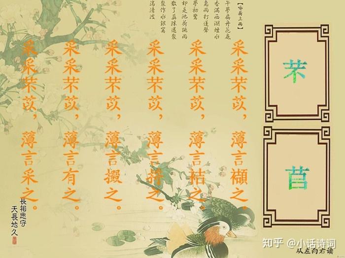 《诗经·芣苢》:写采摘车前草的过程,从此诗入手,看诗经时代人们餐桌