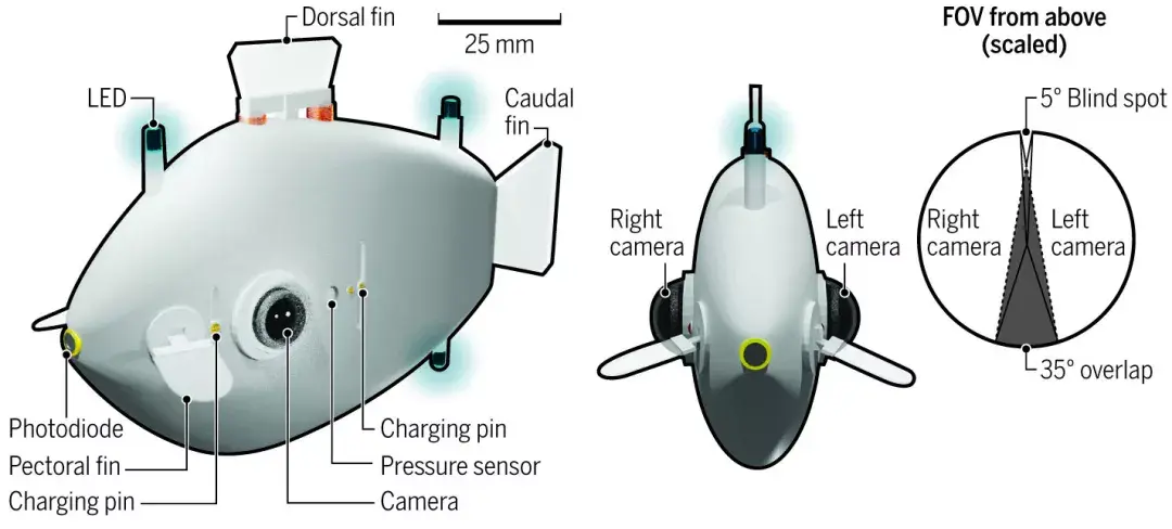 水下機器人天團來了哈佛大學機器魚登上science子刊封面