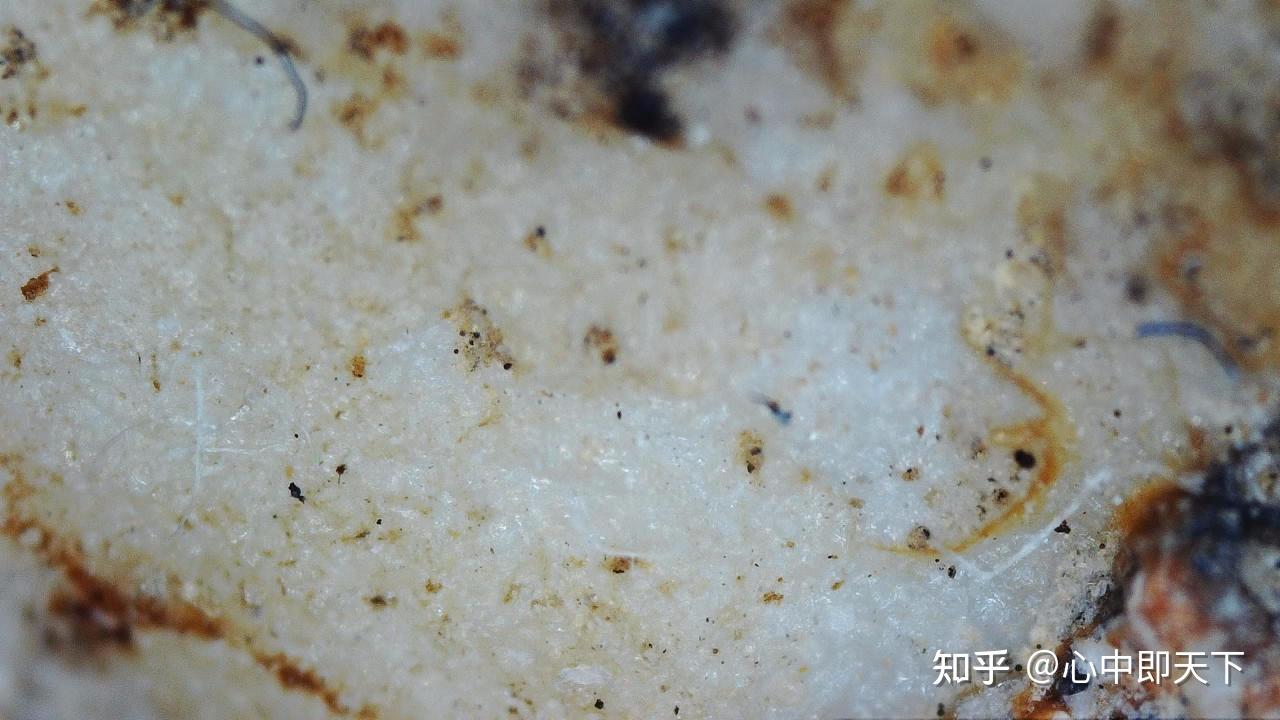 元青花胎骨及苏料吃胎情况的放大镜图示