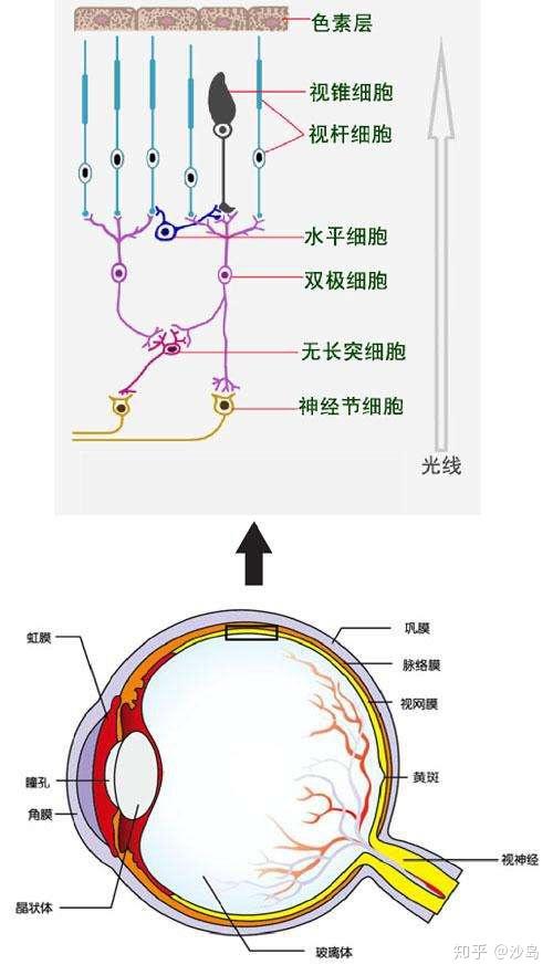 改造blender第二章颜色