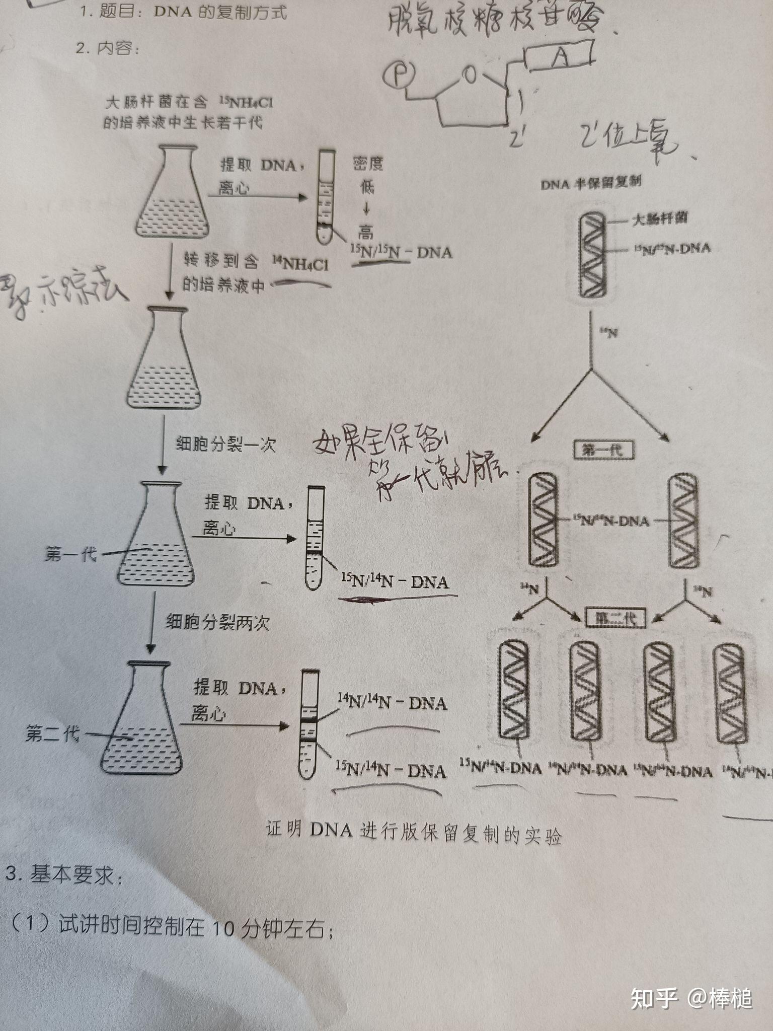 创设情景:之前学过,一个细胞分裂成为两个细胞,细胞质需要复制,细胞核