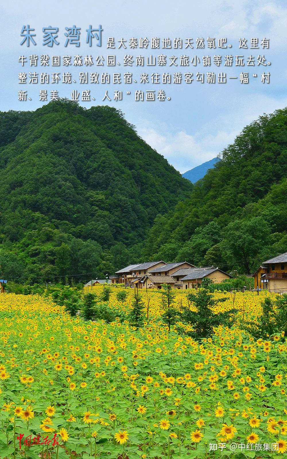 中红旅助力陕西朱家湾村入选联合国世界旅游组织"最佳旅游乡村"