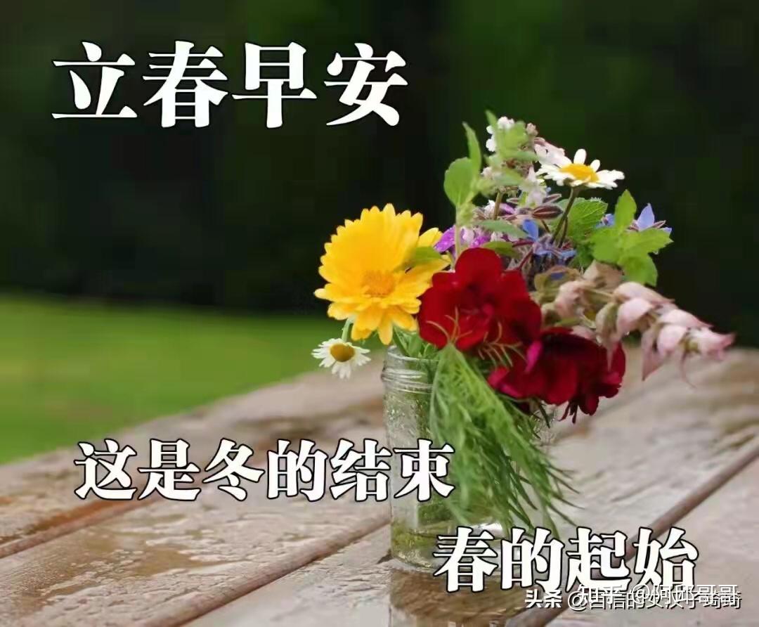今天立春问个好一年顺利没烦恼福禄吉兴当头照虎年鸿运步步高初四早上