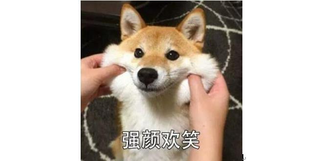 v2-227461448491f30e2df77152a069ab93_r.jpg