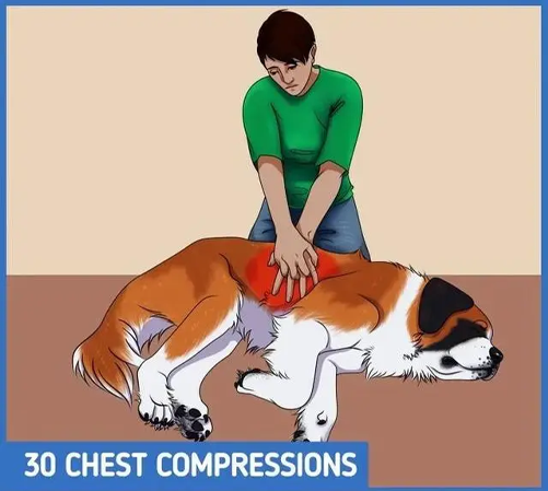 抓紧黄金3分钟救命! - 知乎