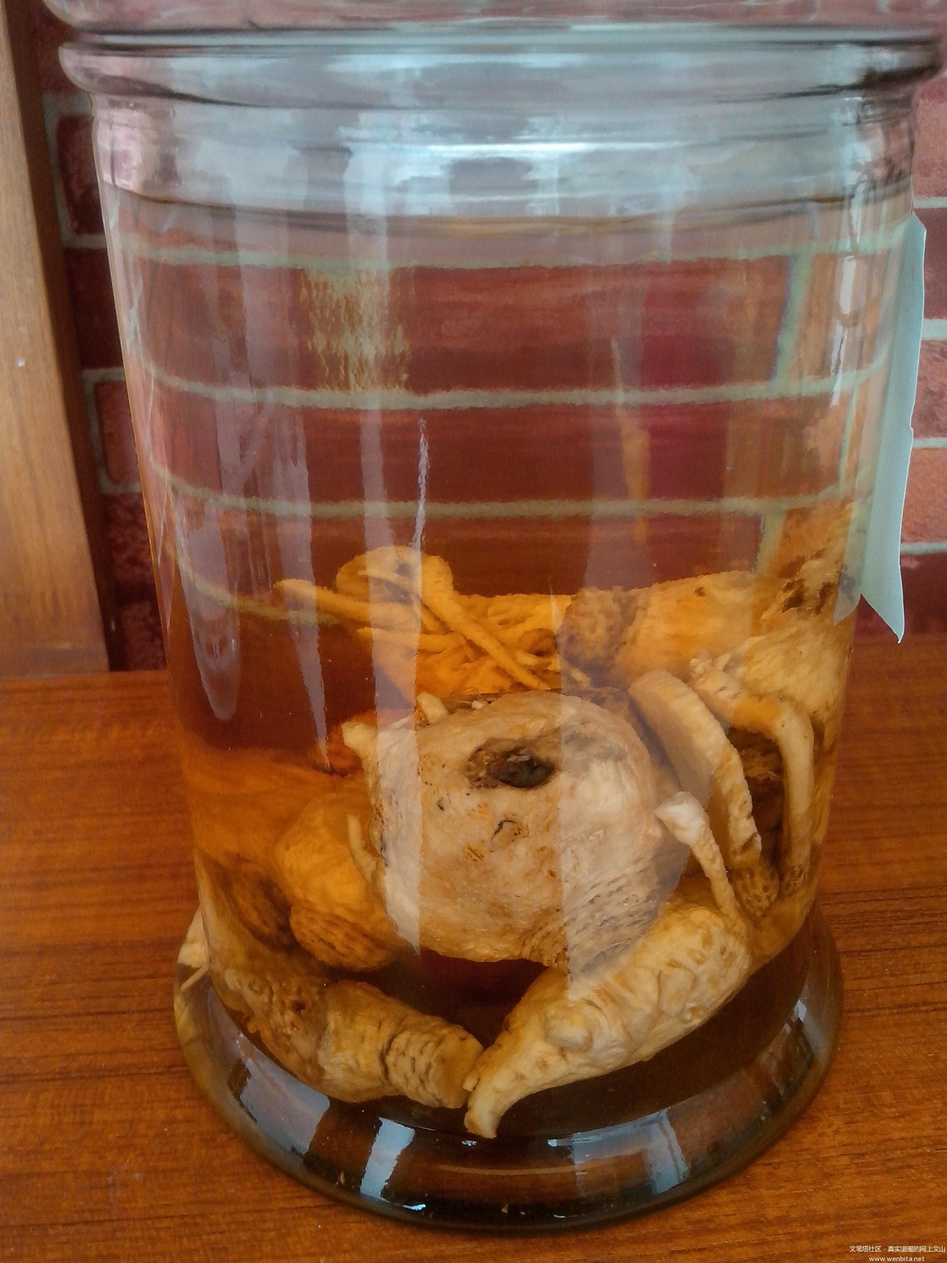 养生酒技术玛咖泡酒配方与功效