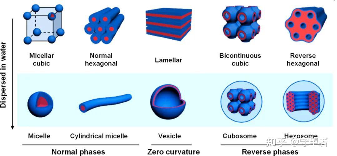 JAFC综述：纳米立方液晶和六角脂质体作为生物活性化合物的新型纳米载体 - 知乎