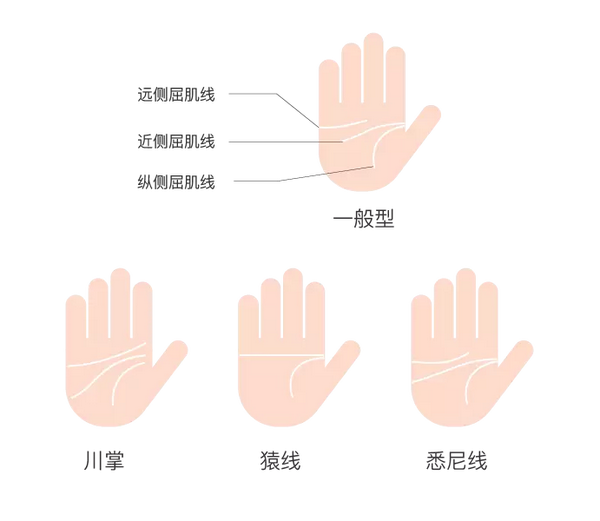 研究 指纹掌纹全揭秘 看手相新姿势 知乎