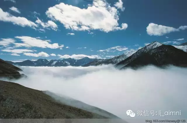 八月旅游-五天成都自助游和六天九寨沟跟团,哪