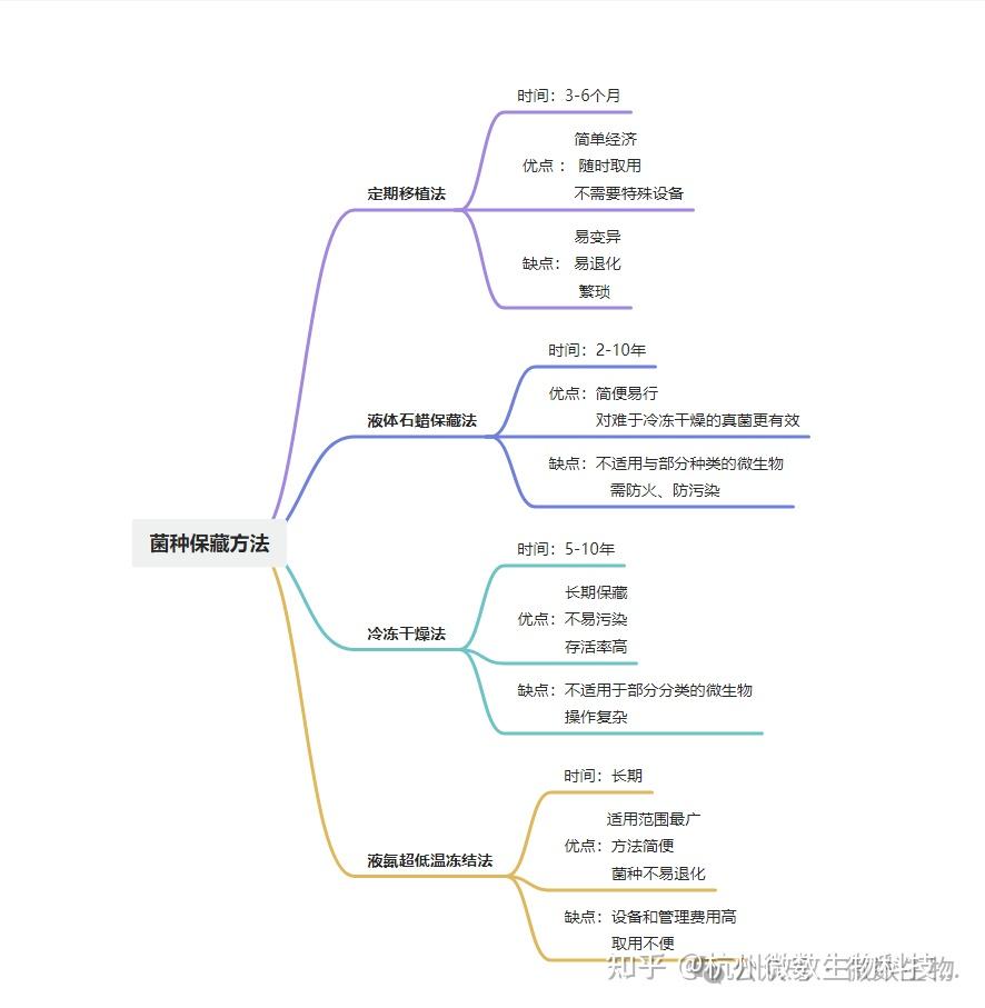 如何选择最适合你的国内VPS服务-偌夕博客