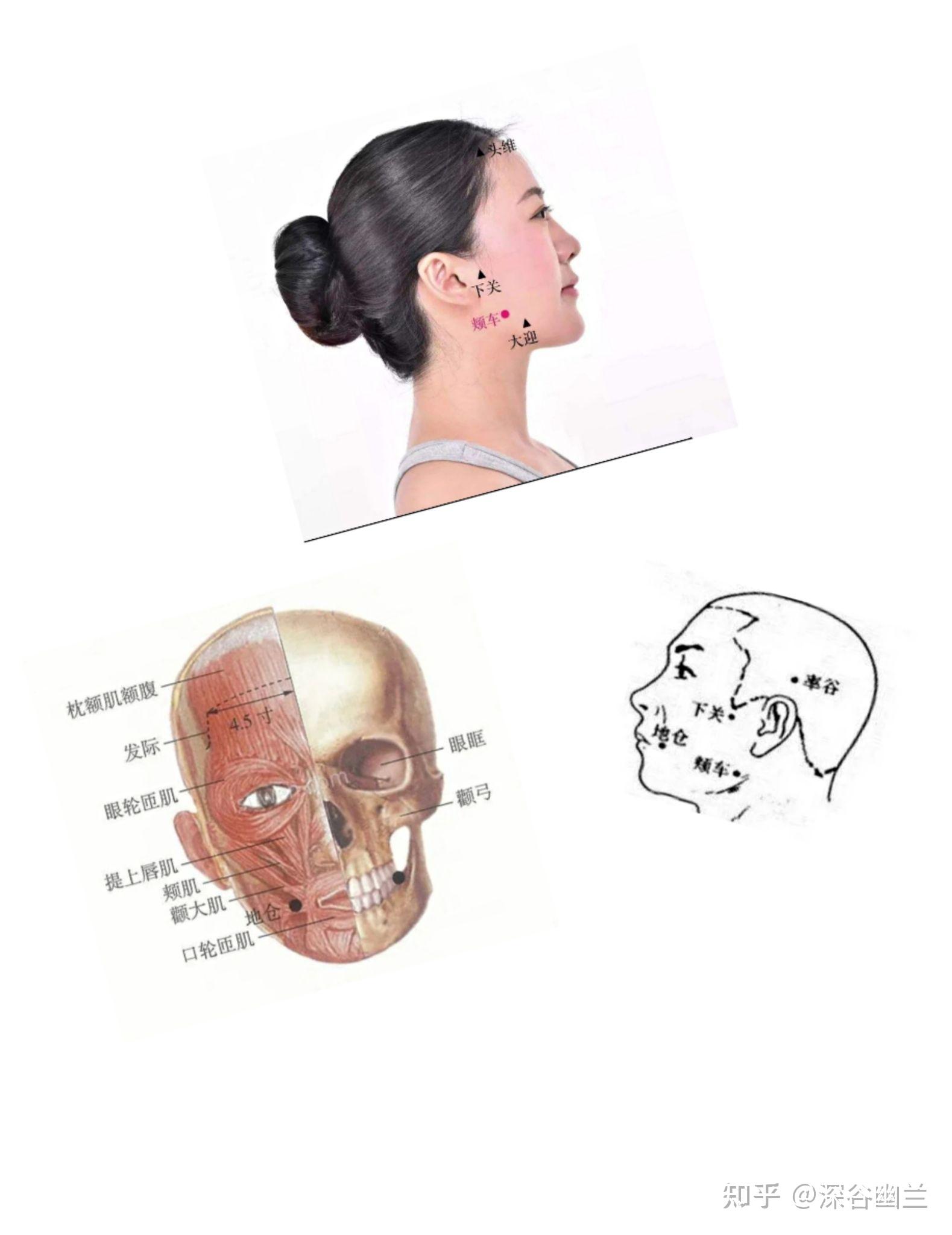 牙眼部脸颊下巴颞下颌关节及耳朵疼痛居家调养