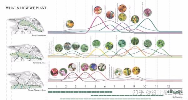 设计留学 | 植物分析与植物表现,都有哪些常见的形式? - 知乎