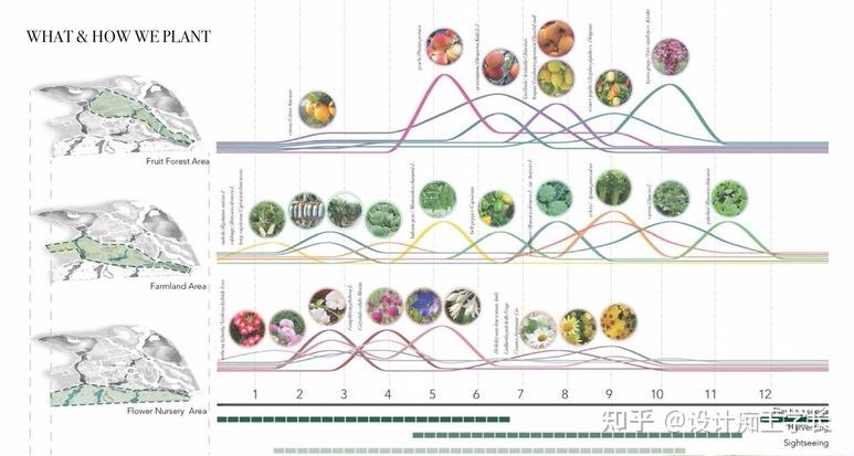 设计留学 | 植物分析与植物表现,都有哪些常见的形式? - 知乎