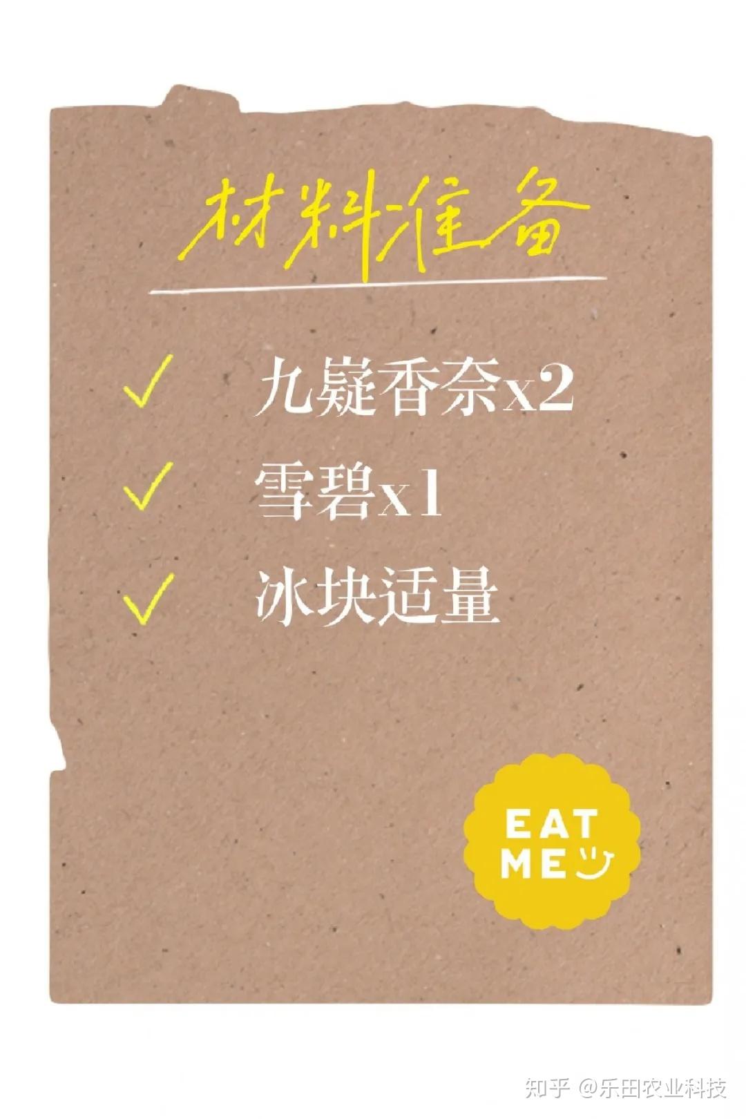 小奈美味教室教你用九嶷香奈自制一杯夏日特饮