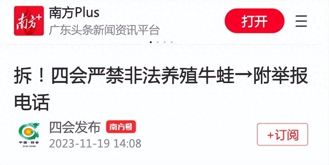 通知!广东四会市严禁非法养殖牛蛙