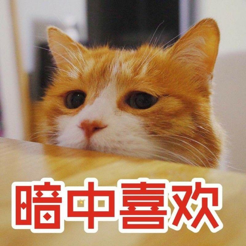 如何评价知乎周刊《年轻人的忽视与焦虑》?