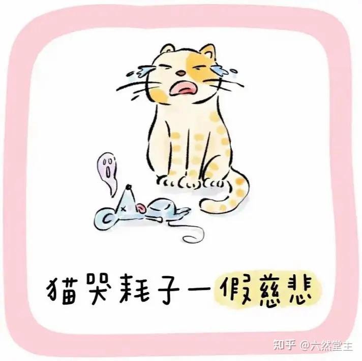 猫哭耗子一一歇后语图片