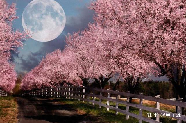 电影的拍摄手法,恋人约会在月亮很圆很亮的月晚,花前月下的场景;但是