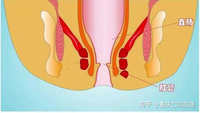zhuanlan.zhihu.com