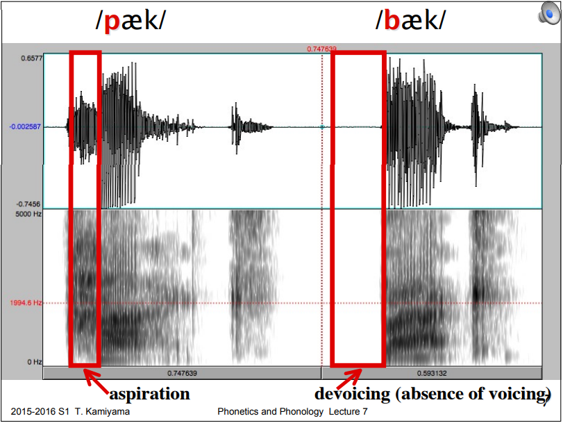 英语的 b、d、g 究竟是清音还是浊音?