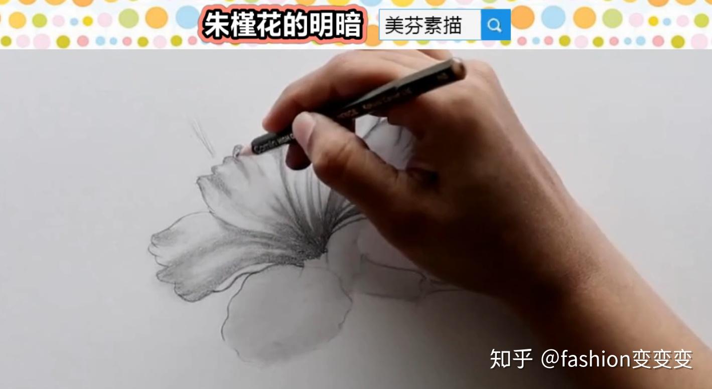 [临摹]手绘素描 - 花朵|插画|创作习作|rikkiyun - 原创作品 - 站酷 (ZCOOL)